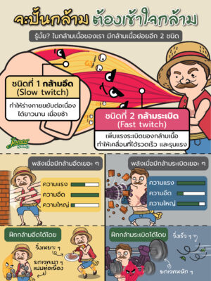 จะปั้นกล้าม ต้องเข้าใจกล้าม.jpg