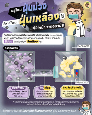 อยู่โซนฝุ่นม่วงก็หายใจแบบฝุ่นเหลืองได้ แค่ใส่หน้ากากอนามัย.jpg