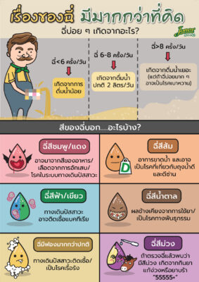 เรื่องของฉี่ มีมากกว่าที่คิด.jpg