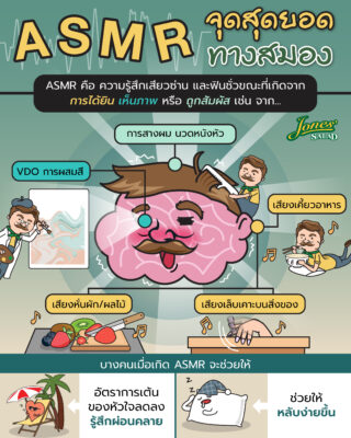 ASMR จุดสุดยอดทางสมอง.jpg