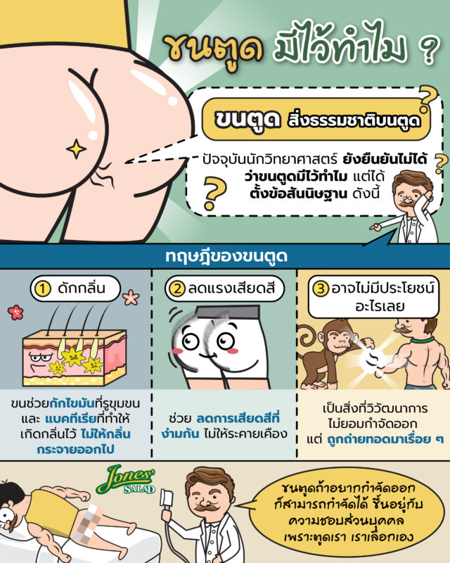 ขนตรงตูดมีไว้ทำไม.jpg