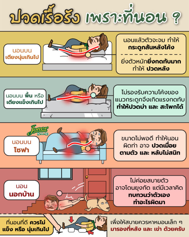 ปวดเรื้อรังเป็นเพราะที่นอนหรือไม่.jpg
