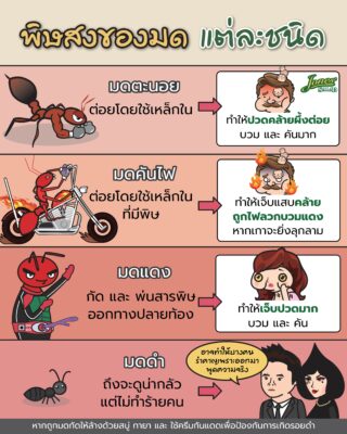 พิษสงของมดแต่ละชนิด.jpg