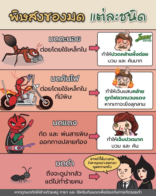พิษสงของมดแต่ละชนิด.jpg