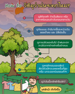 วิธีดูว่าฝนกำลังจะตกไหม.jpg