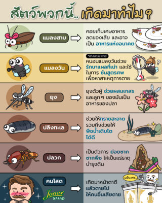 สัตว์เหล่านี้เกิดมาทำไม.jpg