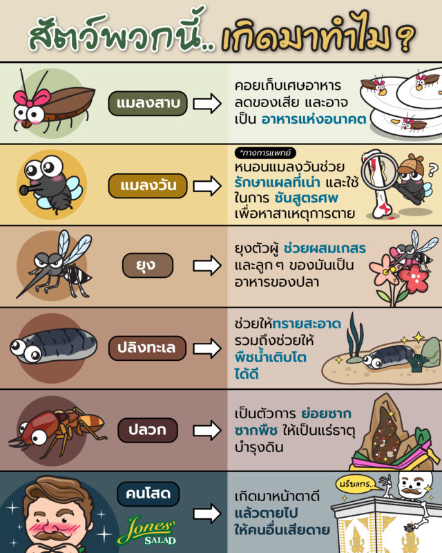สัตว์เหล่านี้เกิดมาทำไม.jpg