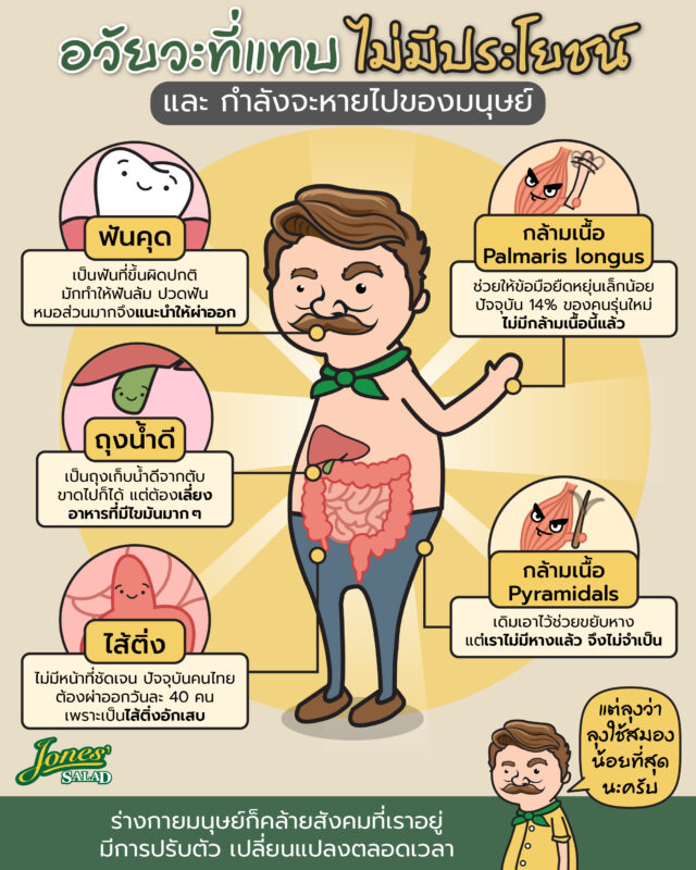 อวัยวะที่แทบไม่มีประโยชน์ และกำลังจะหายไปจากร่างกายของมนุษย์.jpg