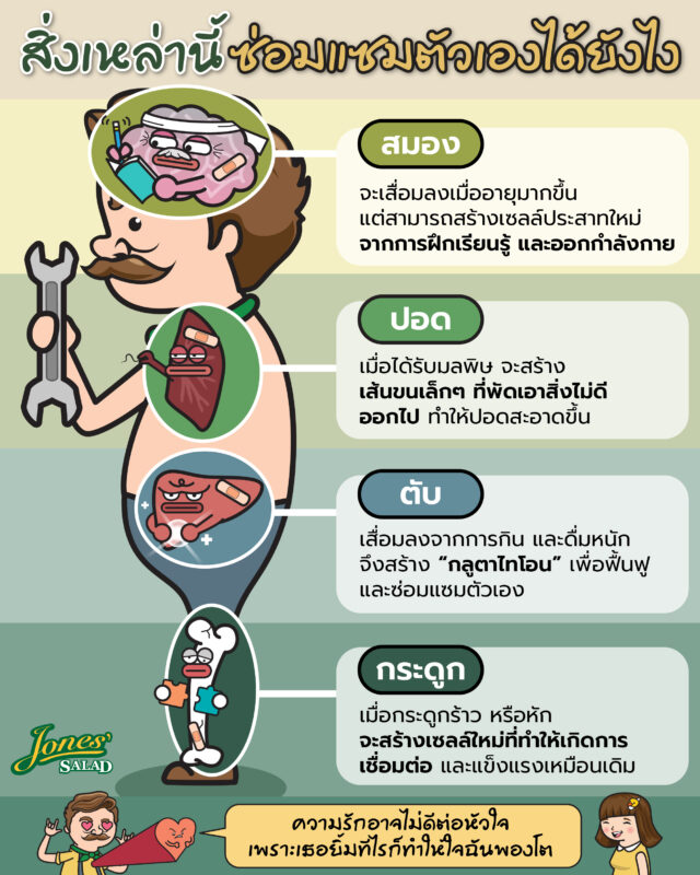 สิ่งเหล่านี้มีวิธีซ่อมแซมตัวเองอย่างไร.jpg